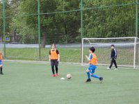 IMG_4550